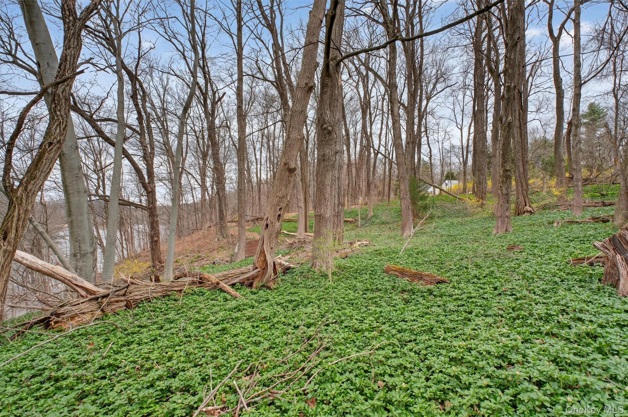 16 Hamilton Road Wappingers Falls, NY 12590 - Photo 29 of 36