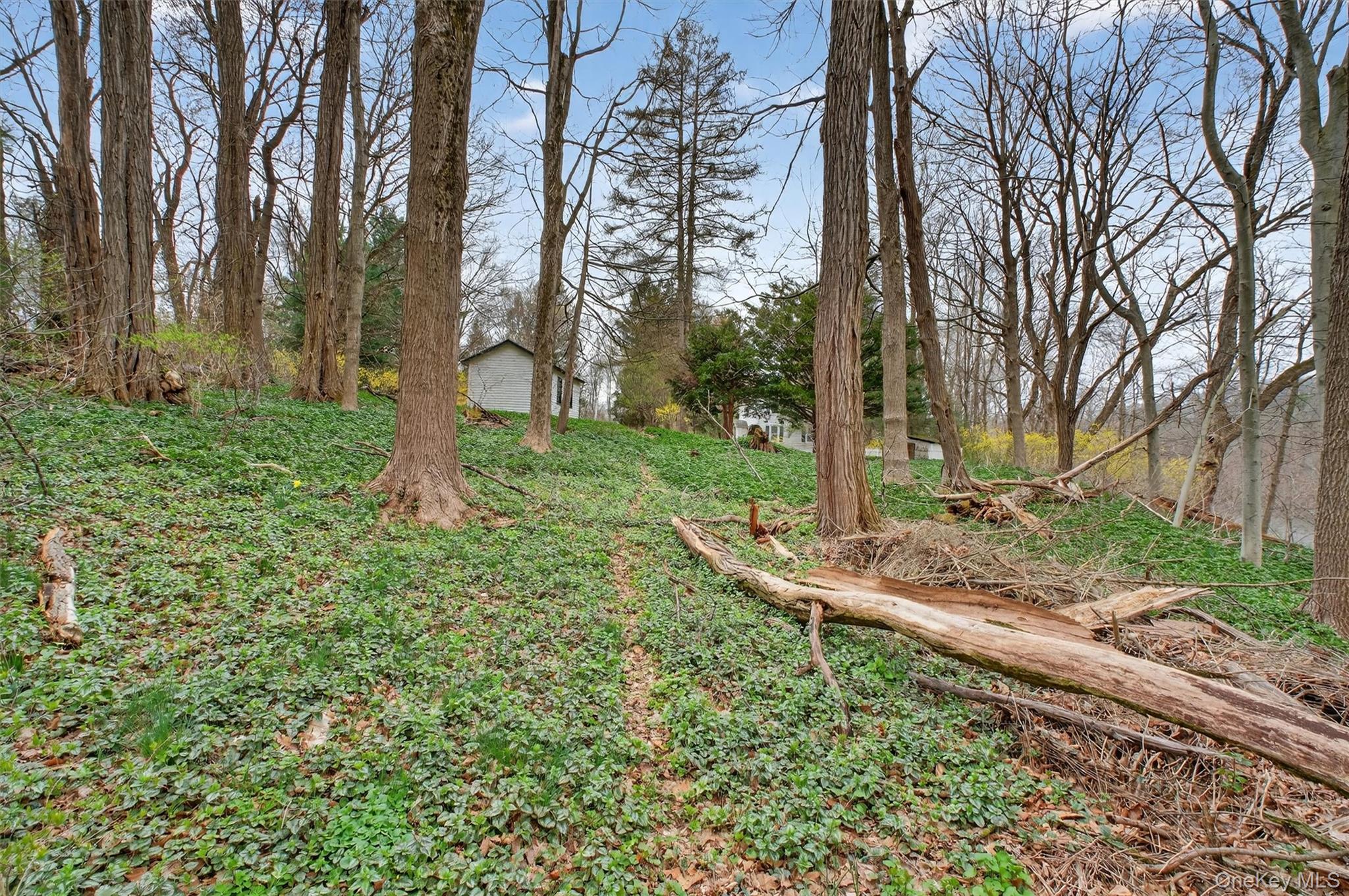 16 Hamilton Road Wappingers Falls, NY 12590 - Photo 30 of 36