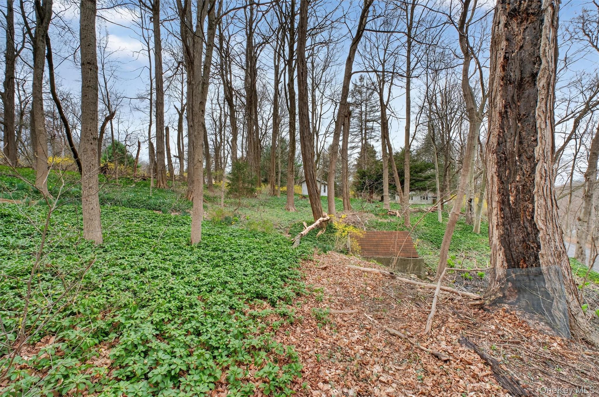 16 Hamilton Road Wappingers Falls, NY 12590 - Photo 33 of 36