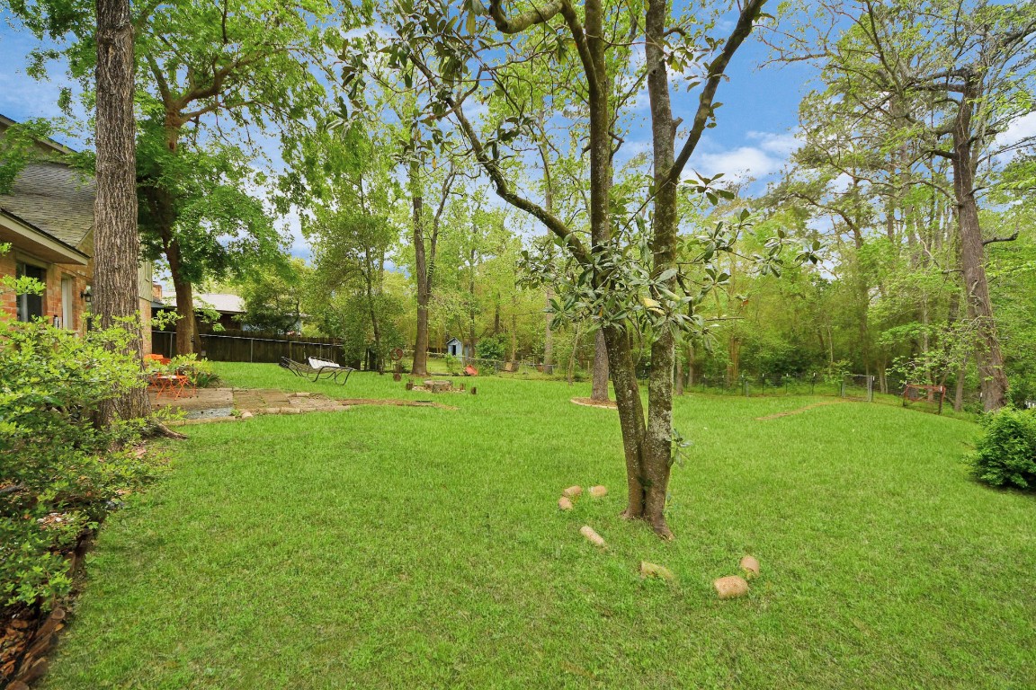 25803 Timber Lakes Drive Spring, TX 77380 - Photo 47 of 48 a view of a yard with a tree