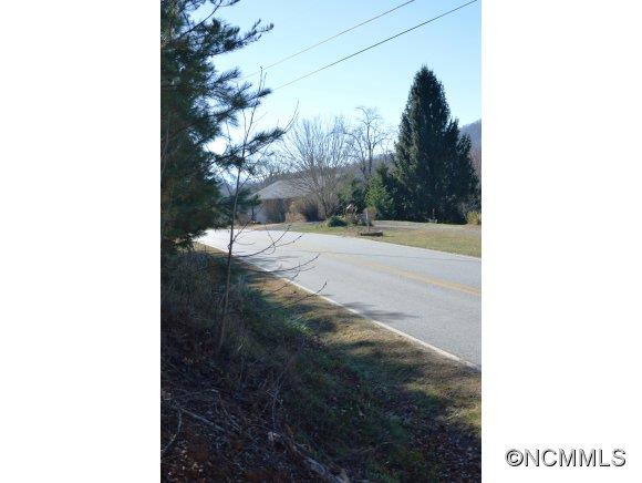 Tbd Smathers Cove Road Canton, NC 28716 - Photo 12 of 20 a view of a backyard