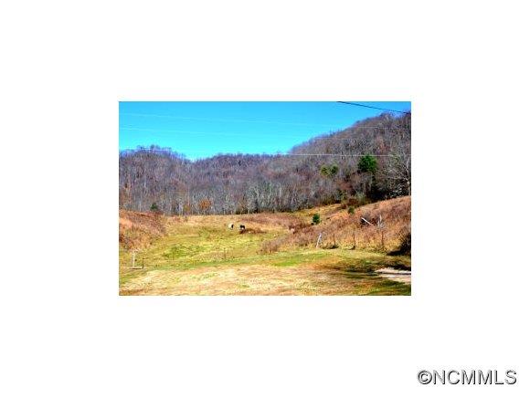 Tbd Smathers Cove Road Canton, NC 28716 - Photo 15 of 20 a view of a room
