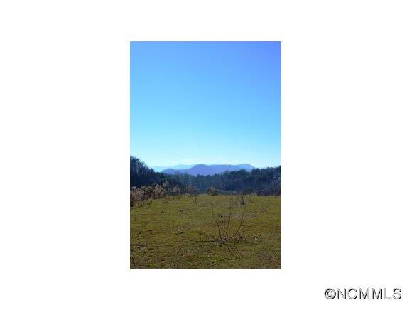Tbd Smathers Cove Road Canton, NC 28716 - Photo 18 of 20
