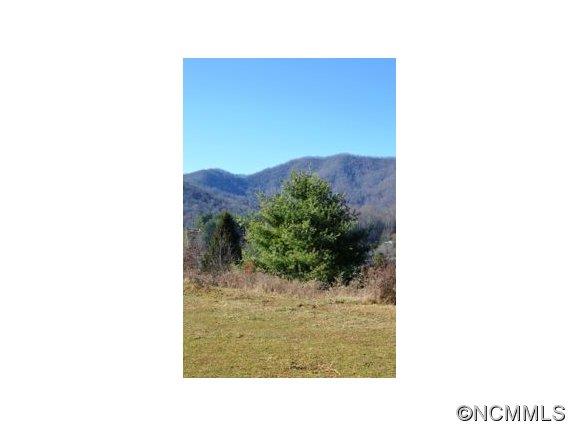 Tbd Smathers Cove Road Canton, NC 28716 - Photo 19 of 20 a picture of a room