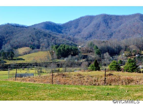 Tbd Smathers Cove Road Canton, NC 28716 - Photo 7 of 20 a view of a backyard