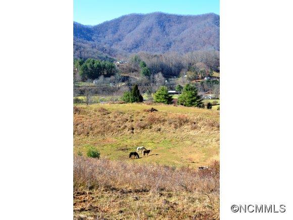 Tbd Smathers Cove Road Canton, NC 28716 - Photo 8 of 20 a picture of a outdoor space