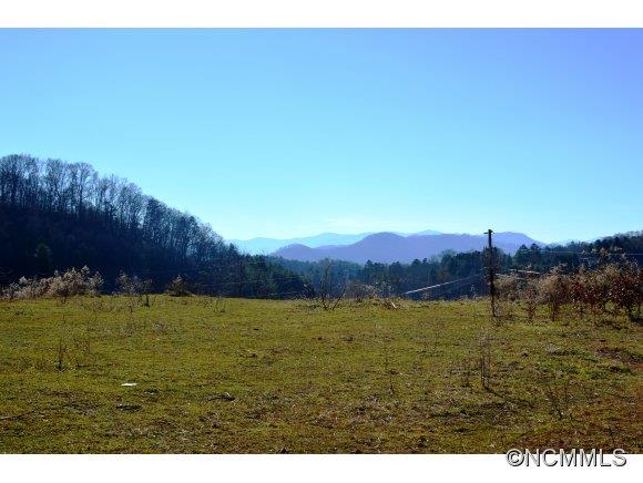 Tbd Smathers Cove Road Canton, NC 28716 - Photo 10 of 20 a view of an ocean with a mountain