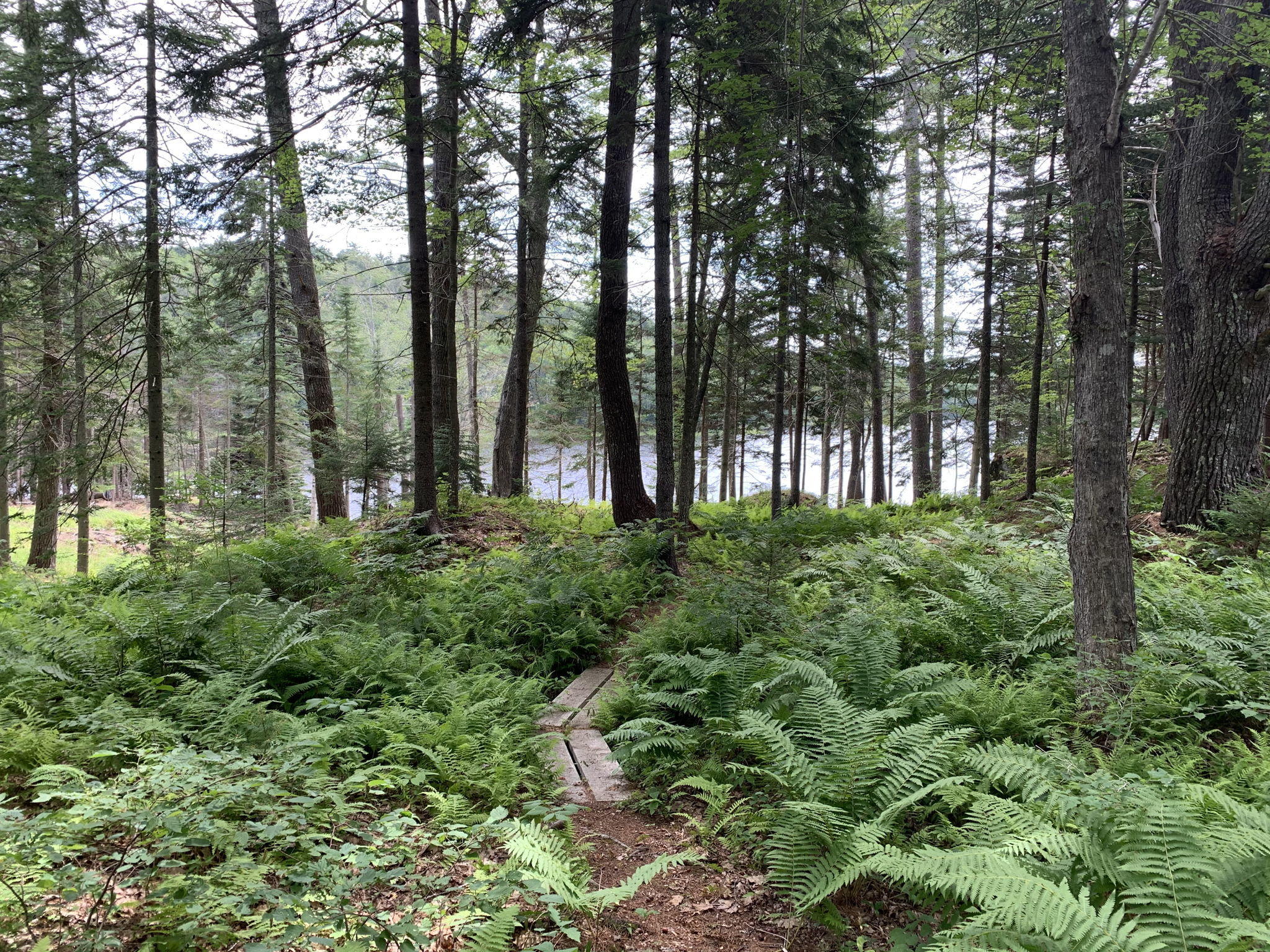 28 Beaver Run Way Boothbay, ME 04537 - Photo 57 of 90 Walkway to Water