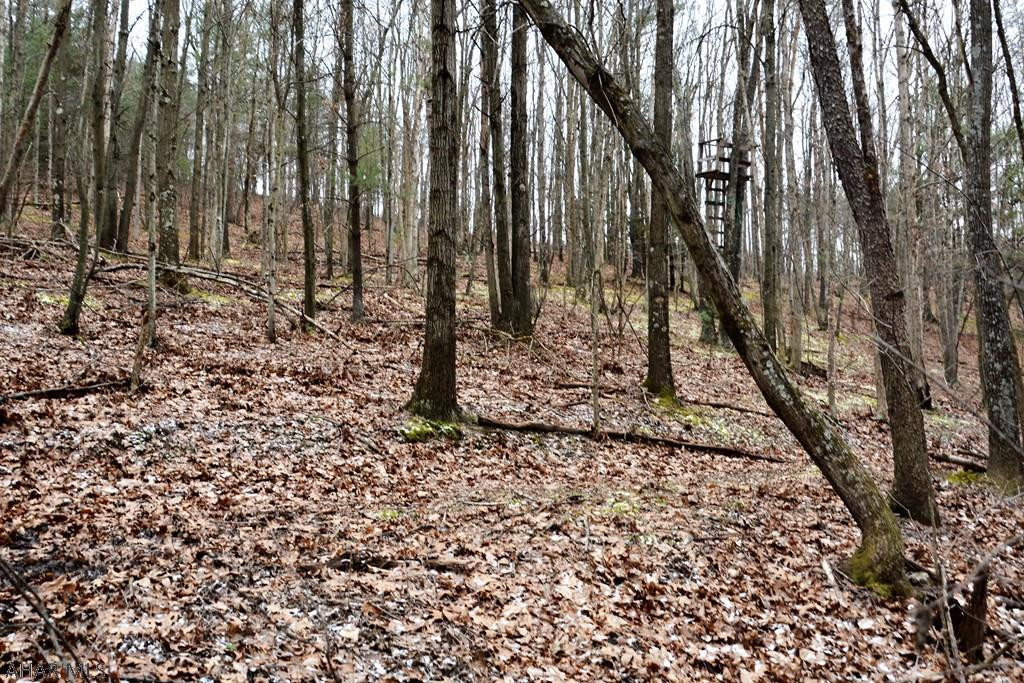 0 Raystown Road Hopewell, PA 16650 - Photo 23 of 51