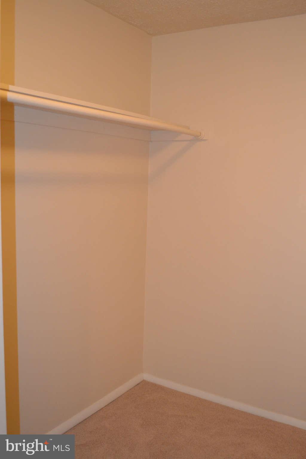 10322 Apple Ridge Road Gaithersburg, MD 20886 - Photo 23 of 28 Lots of Closet Space!