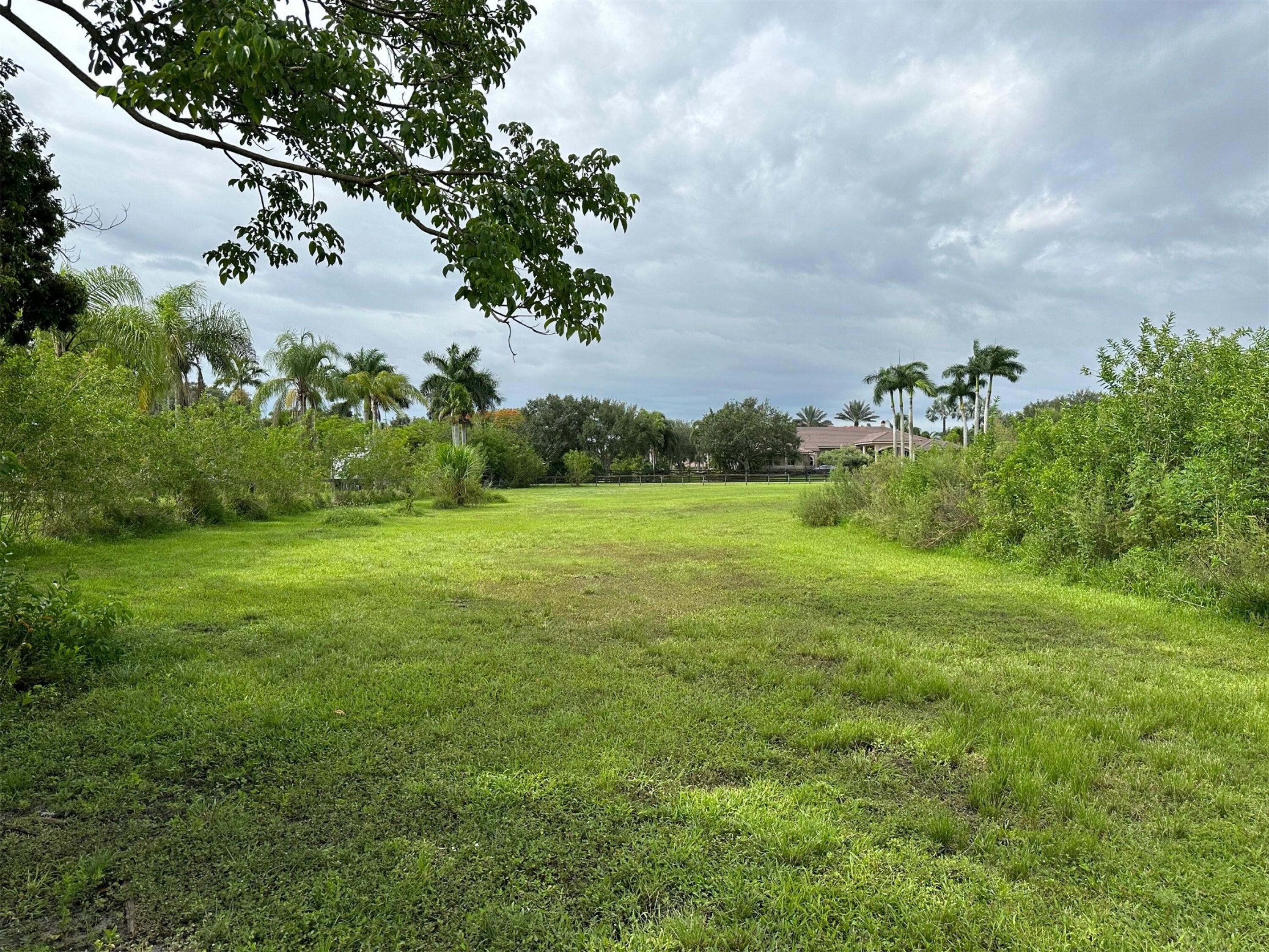 5650 Southwest 192nd Terrace Southwest Ranches, FL 33332 - Photo 8 of 29 a view of a grassy field with an trees