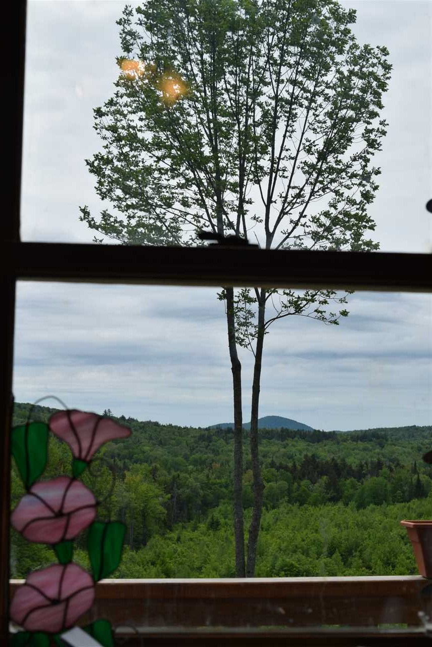 273 Softwood Road Elmore, VT 05680 - Photo 22 of 28