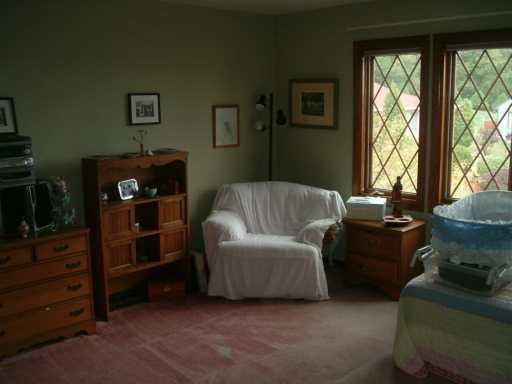 5047 Julia Lane McKees Rocks, PA 15136 - Photo 7 of 8 Other.