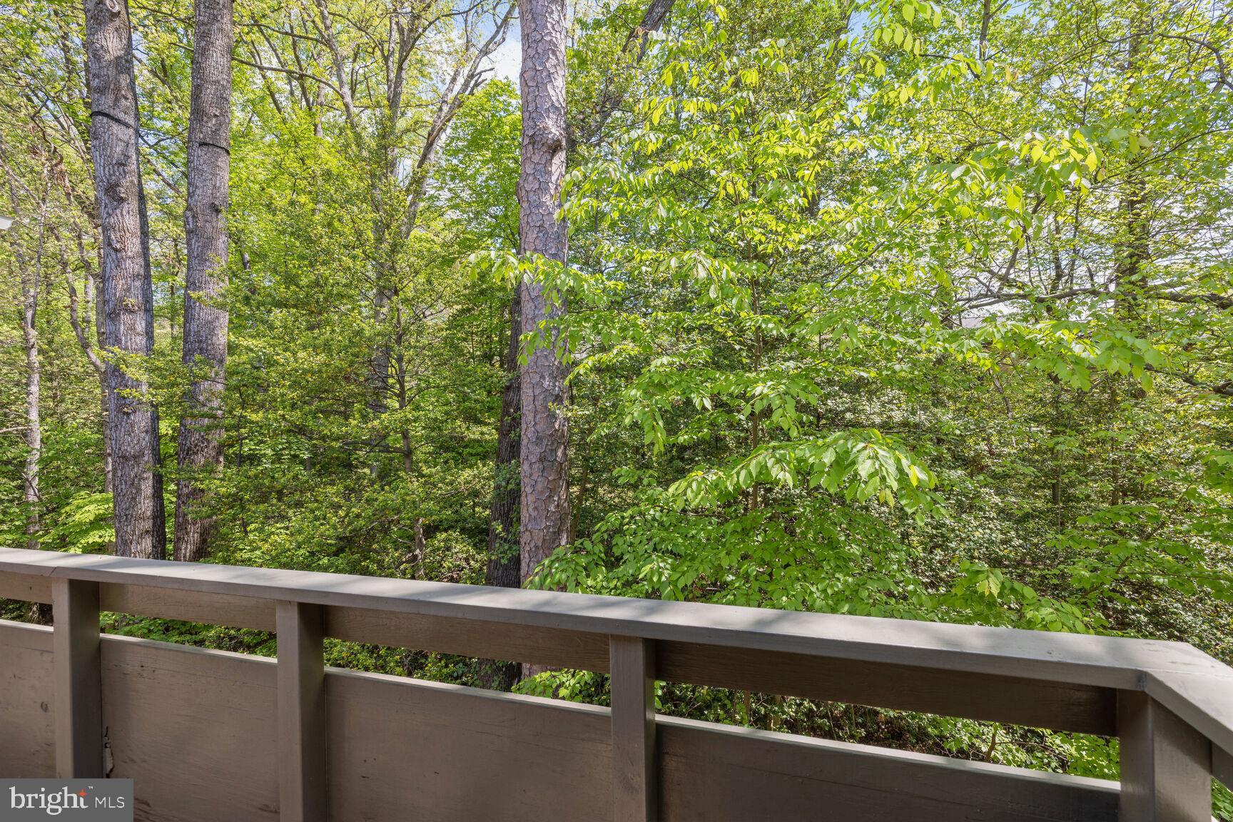 2221 Lovedale Lane, Unit 206B Reston, VA 20191 - Photo 20 of 33 LARGE BALCONY view 2
