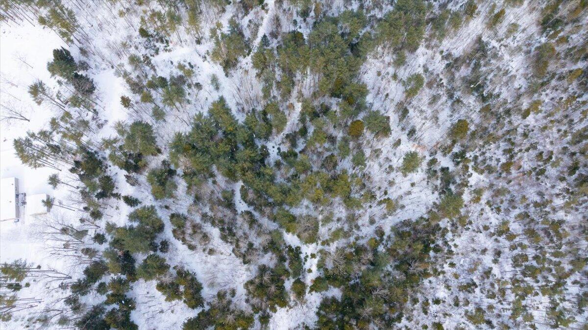 Lot 19 Dorr Road Wiscasset, ME 04578 - Photo 8 of 8 Aerial