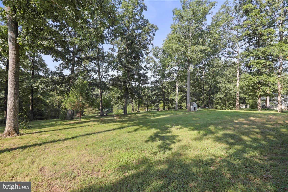 246 Poets Lane Inwood, WV 25428 - Photo 11 of 32 a view of a yard with a trees