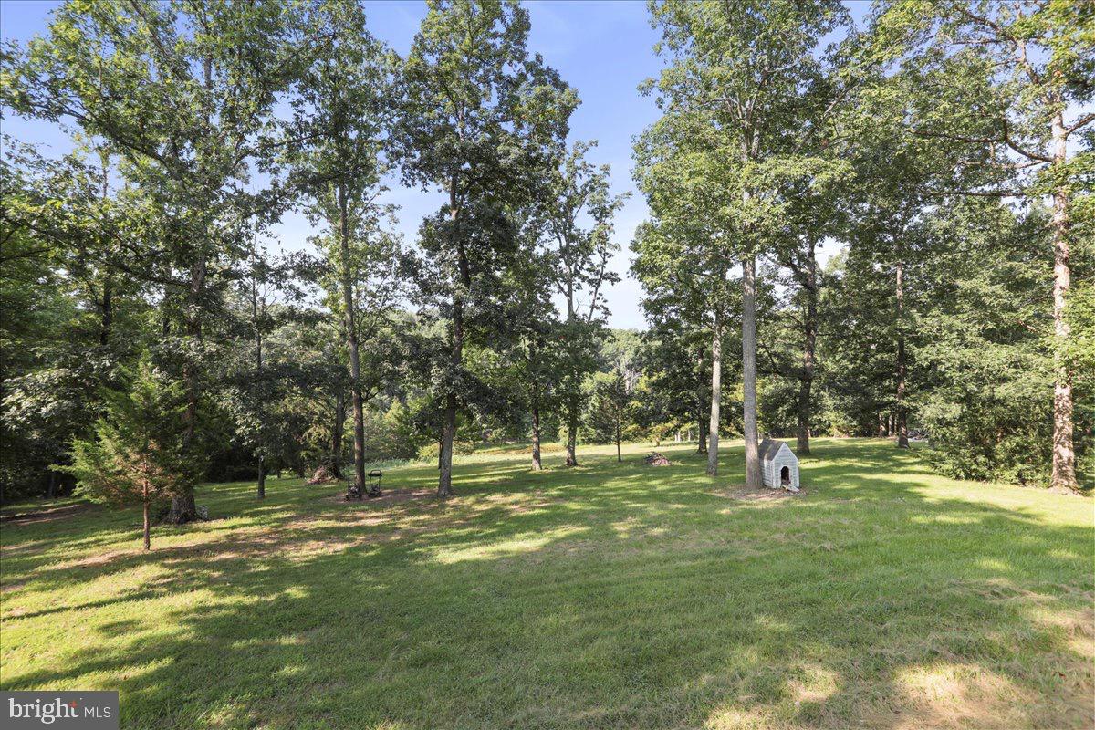 246 Poets Lane Inwood, WV 25428 - Photo 12 of 32 a view of a park with large trees