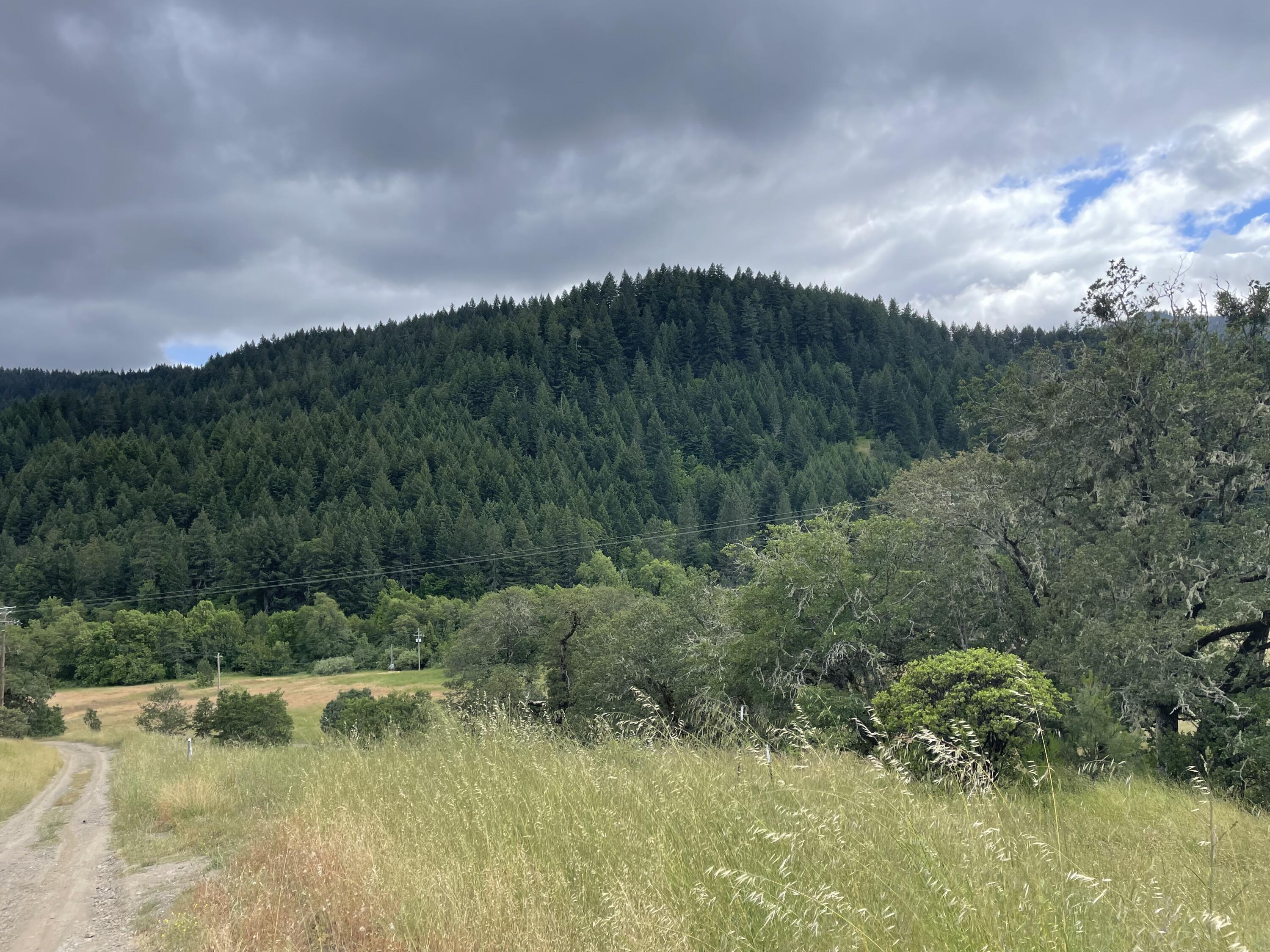740 County Line Creek Road Mad River, CA 95552 - Photo 20 of 32