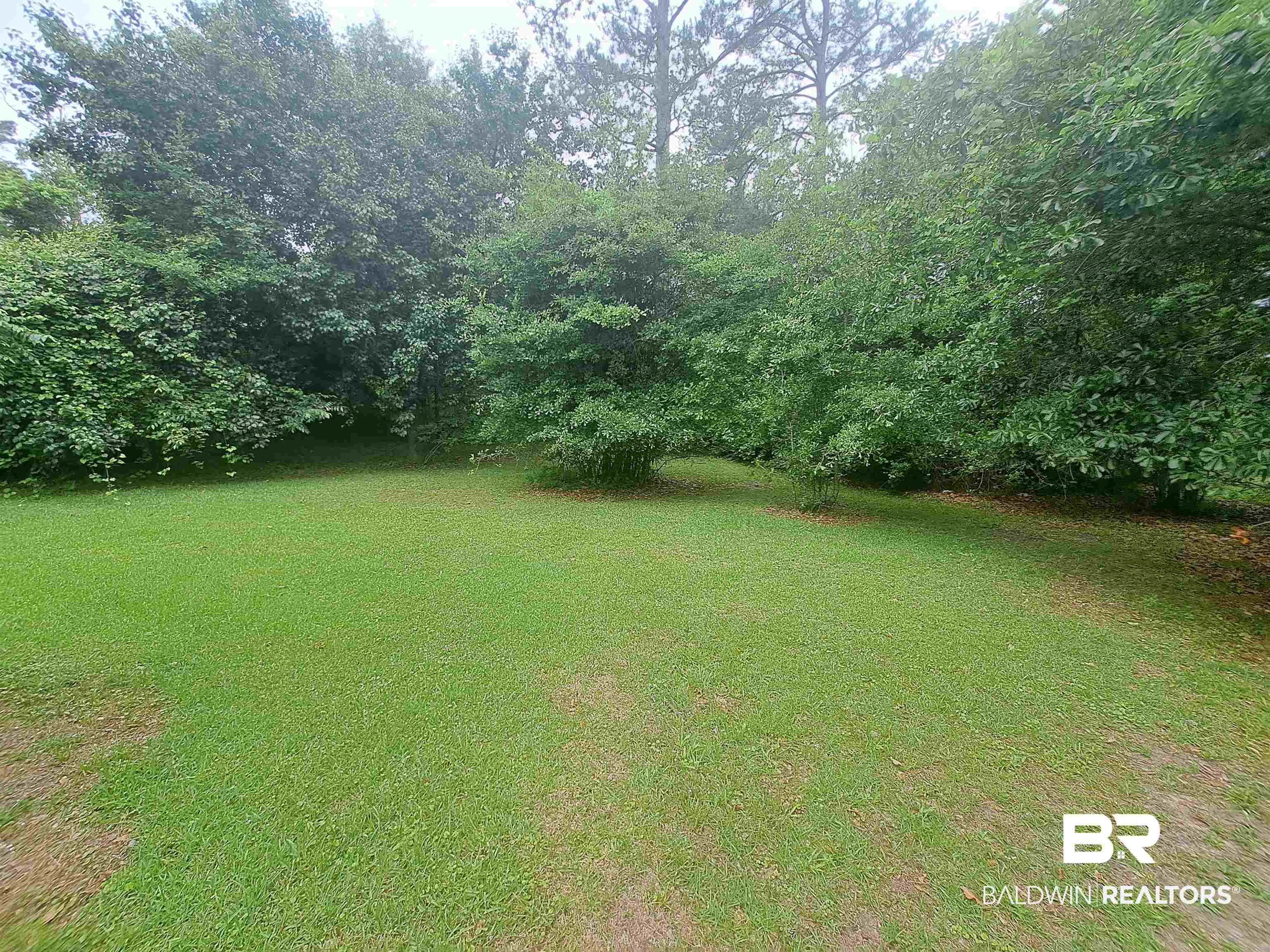 249 Newton Parkway Evergreen, AL 36401 - Photo 28 of 28 View of green lawn