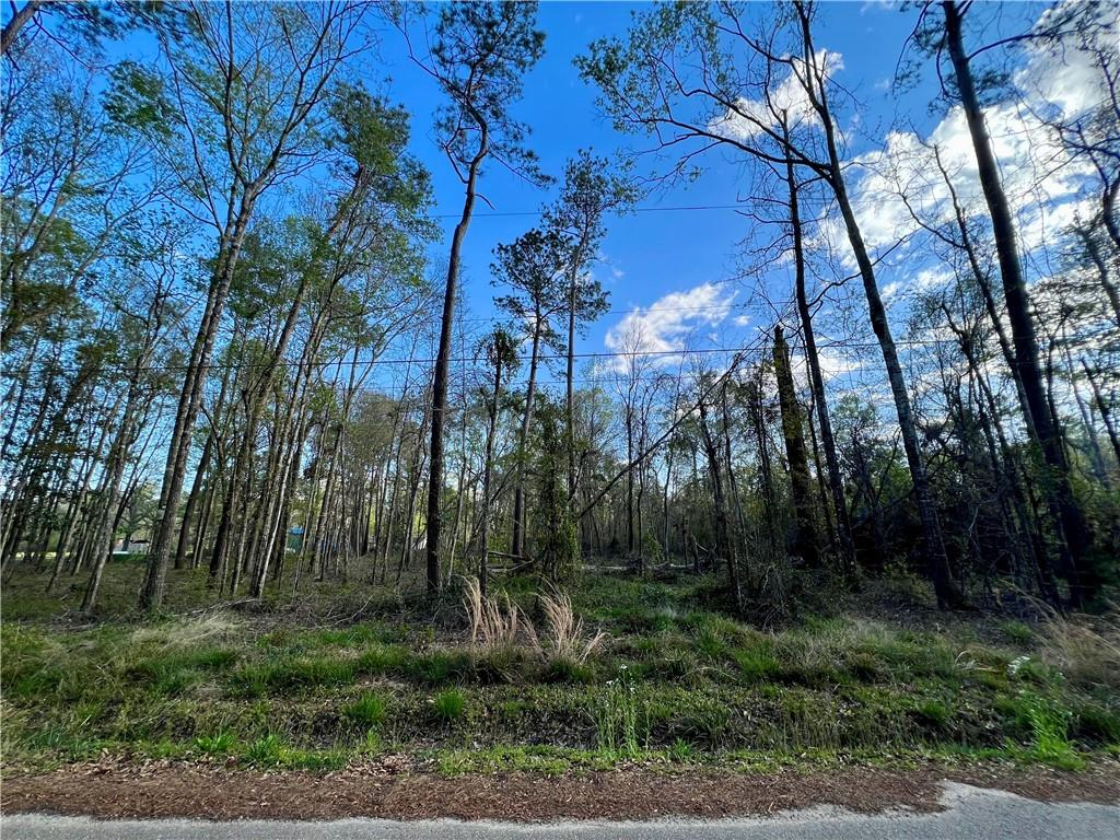 27206 May Edwards Road Ponchatoula, LA 70454 - Photo 1 of 2 Gallery Image 1