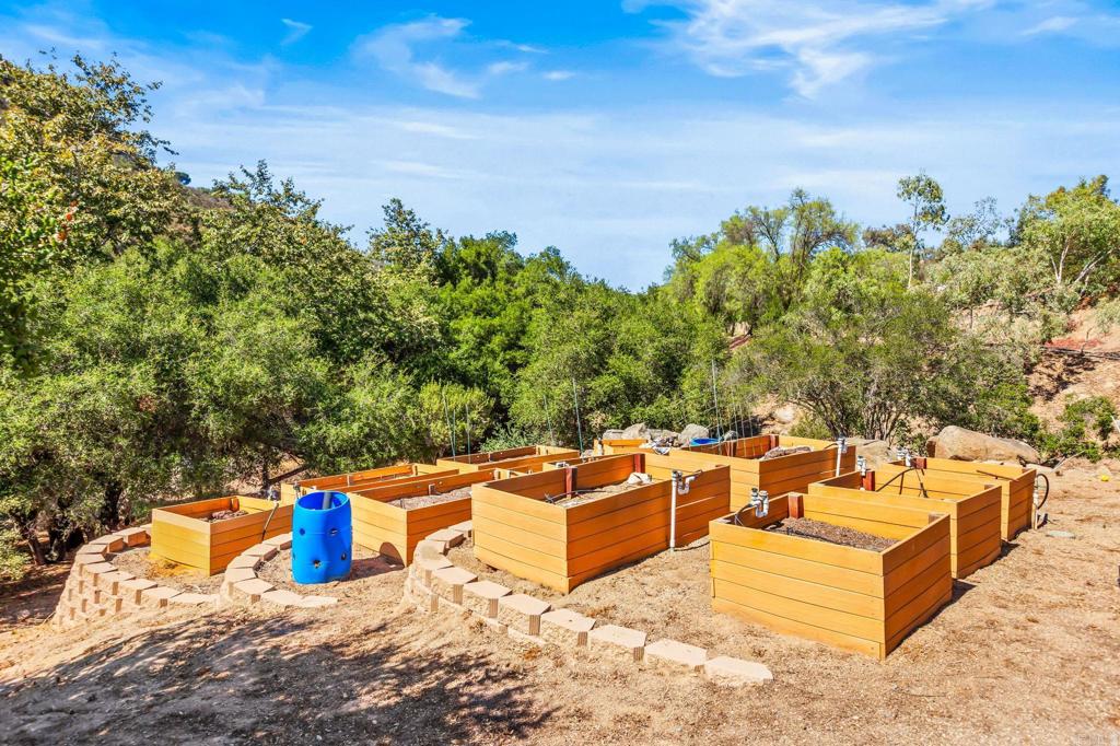 29533 Anthony Road Valley Center, CA 92082 - Photo 7 of 71 Garden