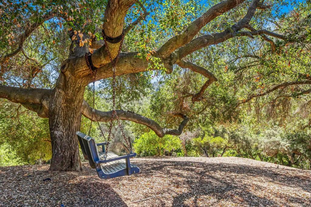 29533 Anthony Road Valley Center, CA 92082 - Photo 9 of 71 Yard