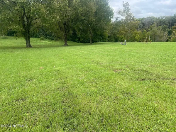 $150,000 | Lot 3 Old State Road Road, Unit STATE, Scotland Neck, NC 27874