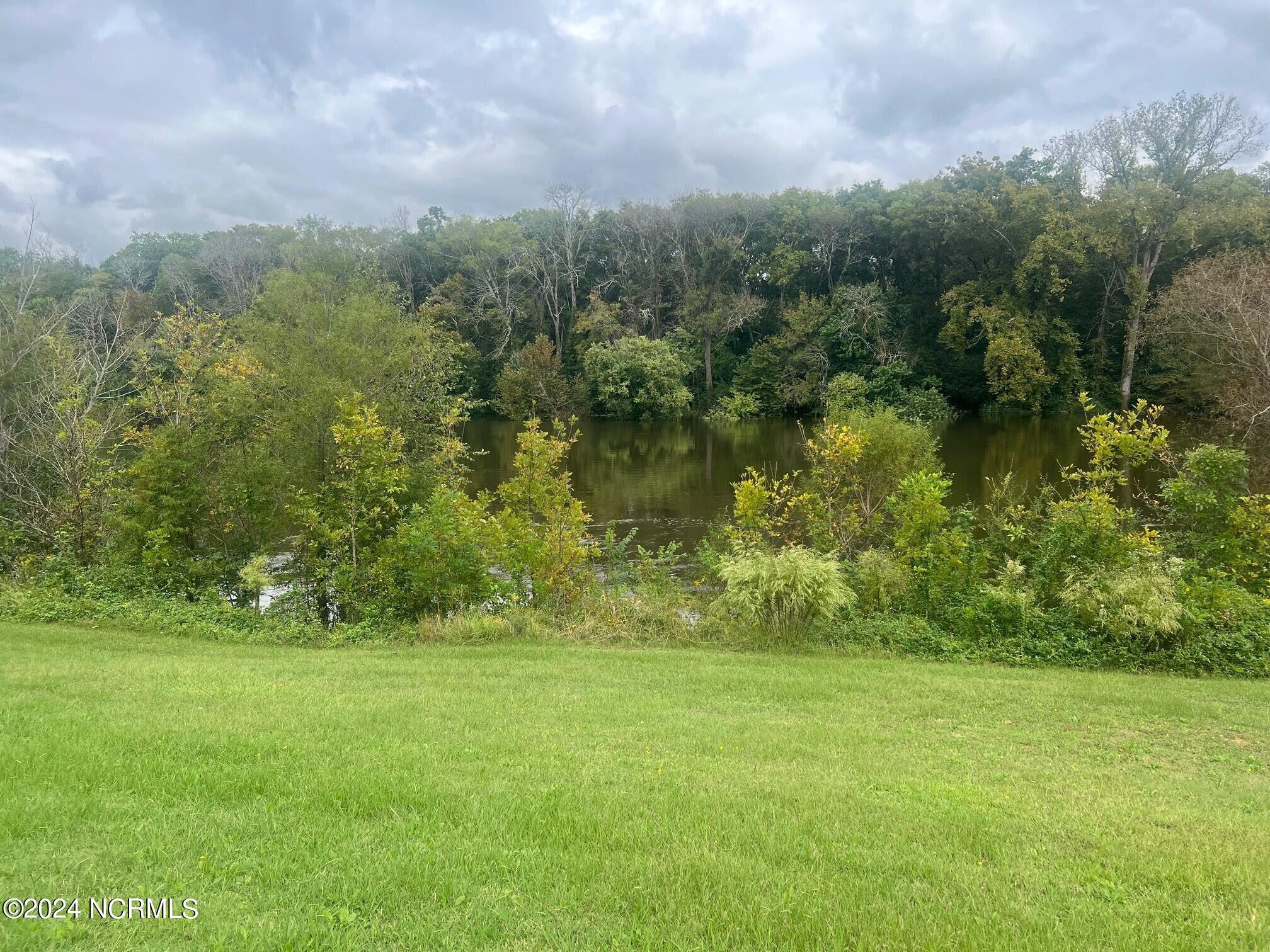 Lot 3 Old State Road Road, Unit STATE Scotland Neck, NC 27874 - Photo 7 of 14 WATER VIEW