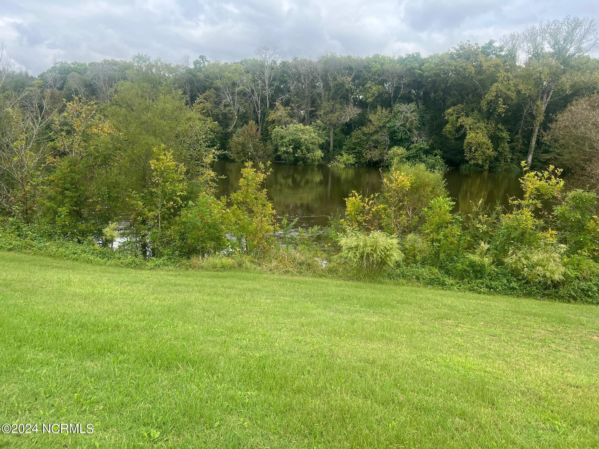 Lot 3 Old State Road Road, Unit STATE Scotland Neck, NC 27874 - Photo 8 of 14 WATER VIEW