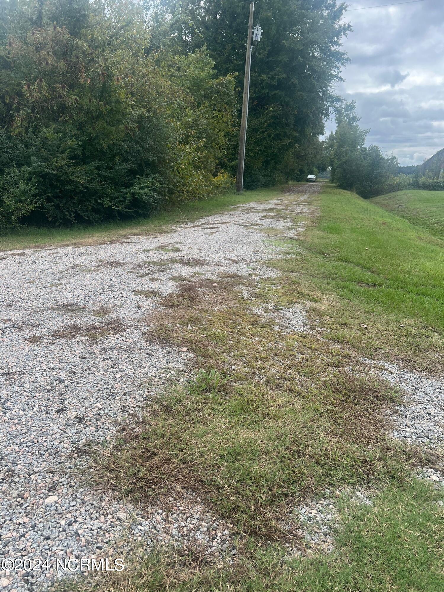 Lot 3 Old State Road Road, Unit STATE Scotland Neck, NC 27874 - Photo 10 of 14 Path
