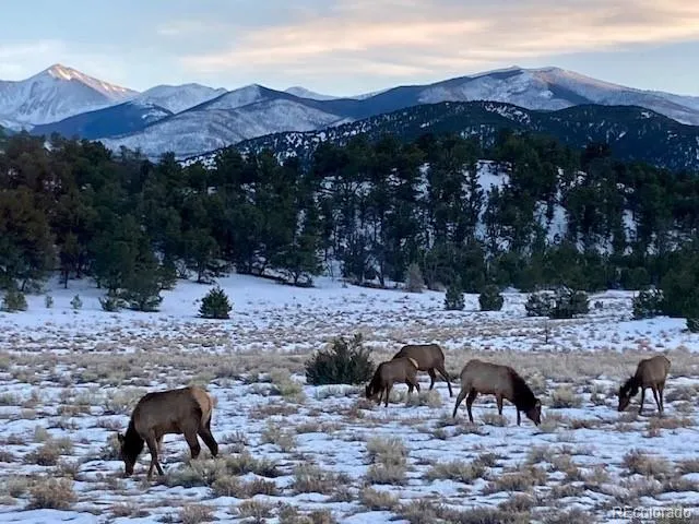 $990,000 | 11648 County Road 45, Coaldale, CO 81222