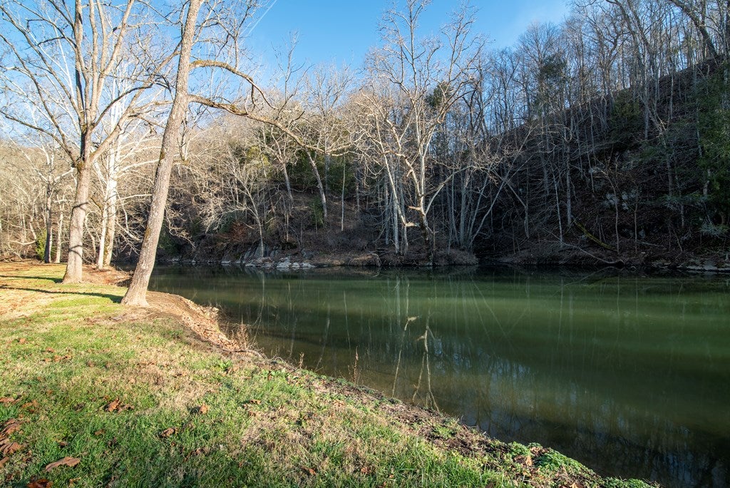 819 Fox Valley Road Marion, VA 24354 - Photo 53 of 60 Gallery Image 53