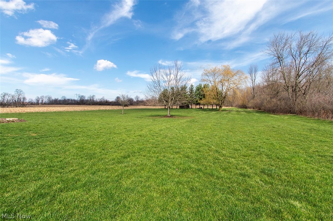 2201 Granger Road Medina, OH 44256 - Photo 30 of 34 View of green lawn with a view of countryside