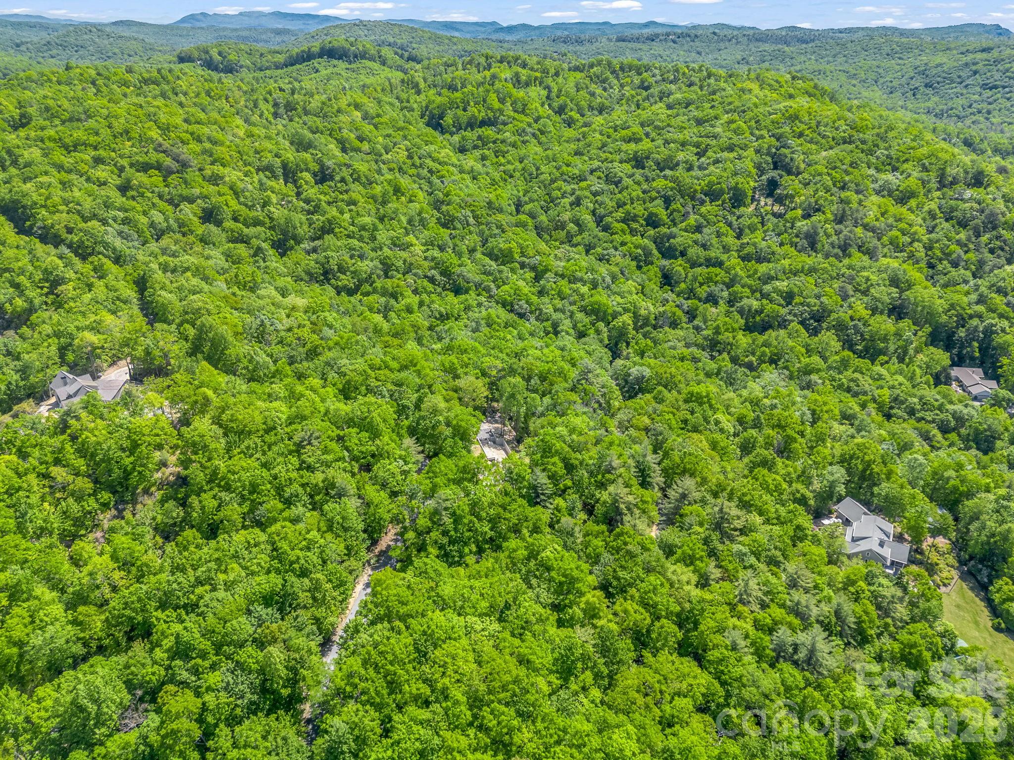 352 Big Hill Road Brevard, NC 28712 - Photo 15 of 31