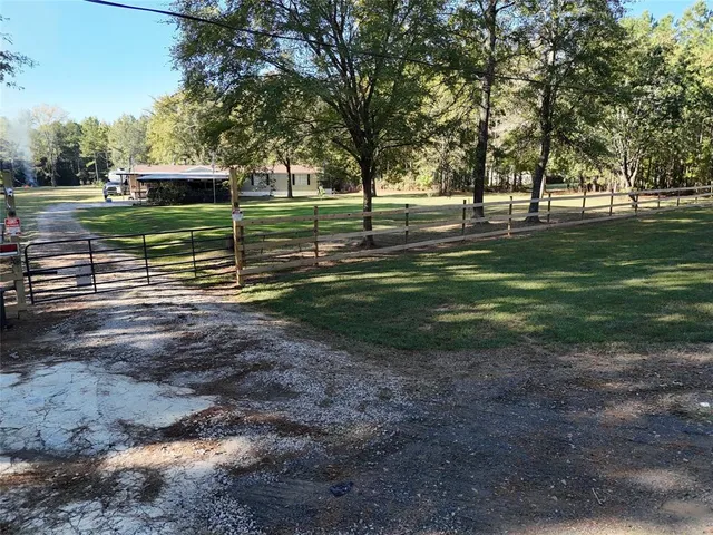 a view of a park with large trees