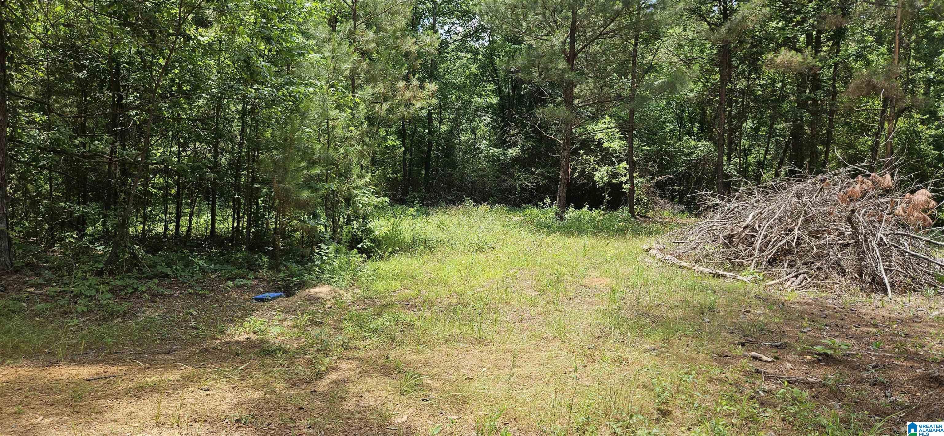 2304 Co Road, Unit 341 Maplesville, AL 36750 - Photo 1 of 2