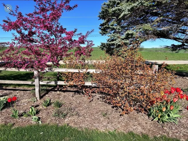 $359,000 | N5478 Highway 73, Princeton, WI 54968