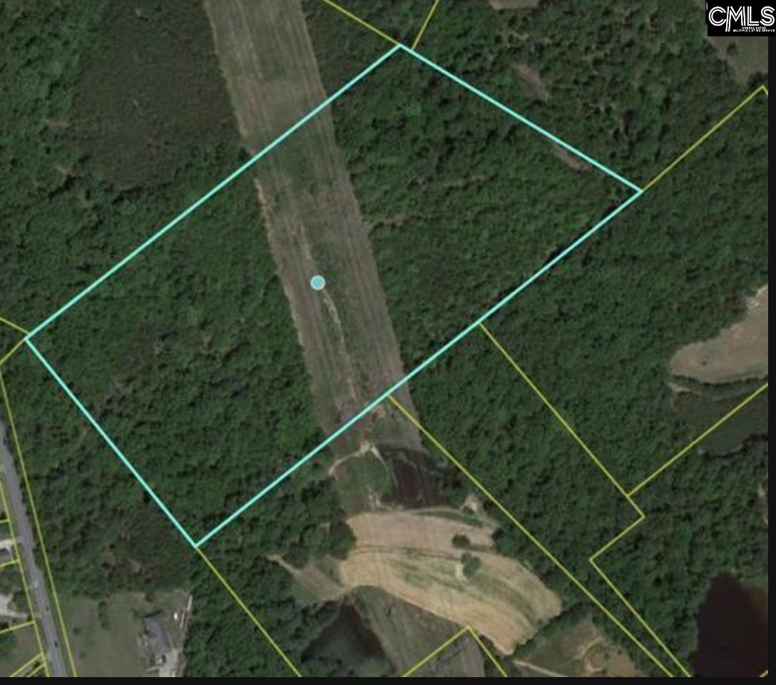 E/s E/s Dreher Road Chapin, SC 29036 - Photo 1 of 1