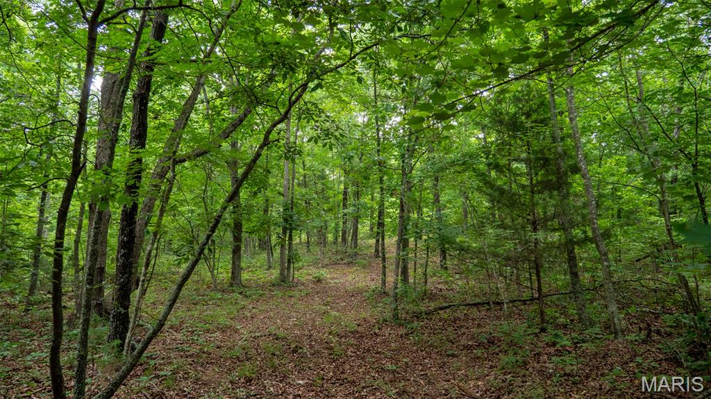 0 Hwy M Cabool, MO 65689 - Photo 30 of 68
