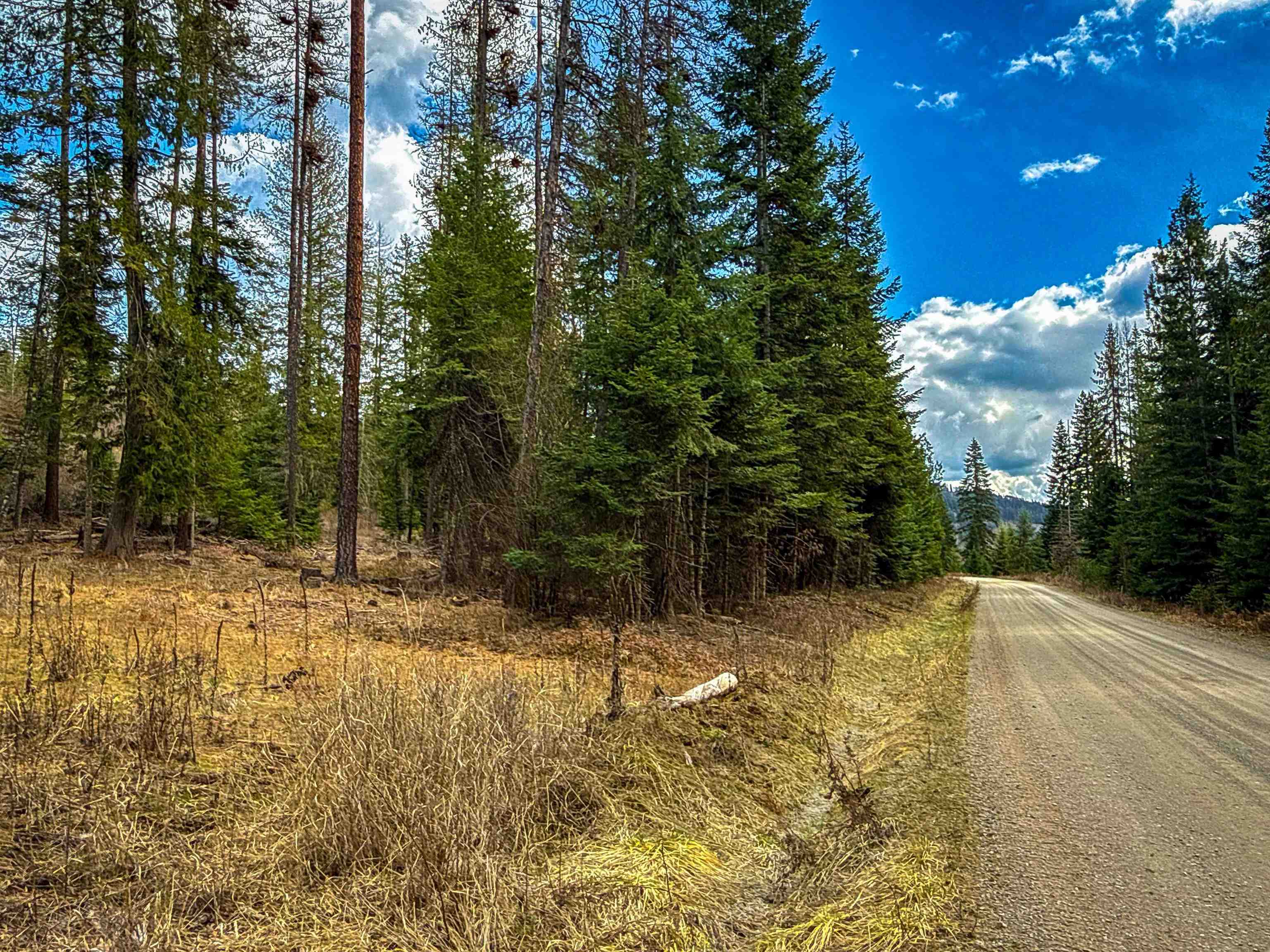 Nka Best Chance Road Usk, WA 99180 - Photo 8 of 50