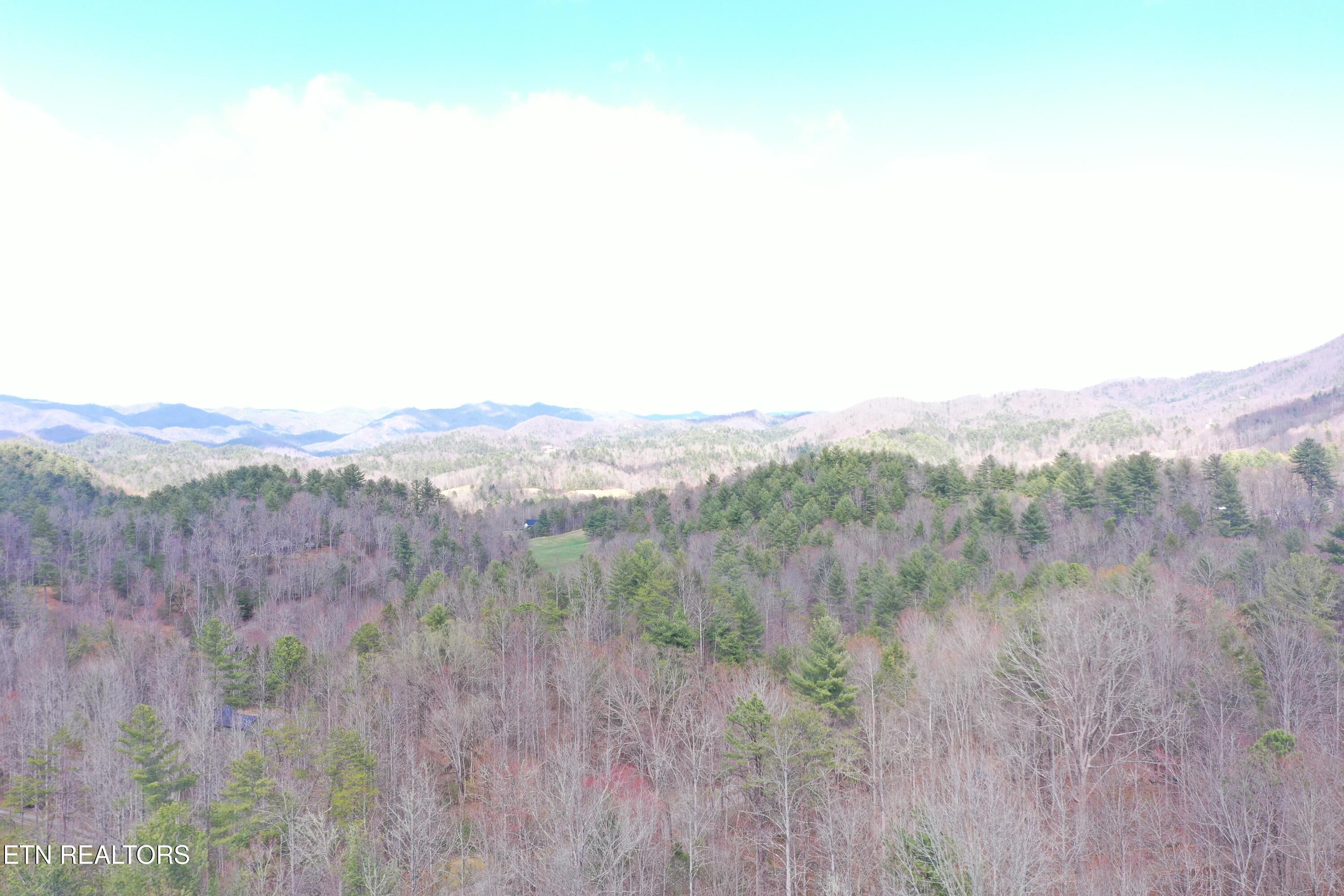 Round Mountain Del Rio, TN 37727 - Photo 12 of 18 DJI_0234