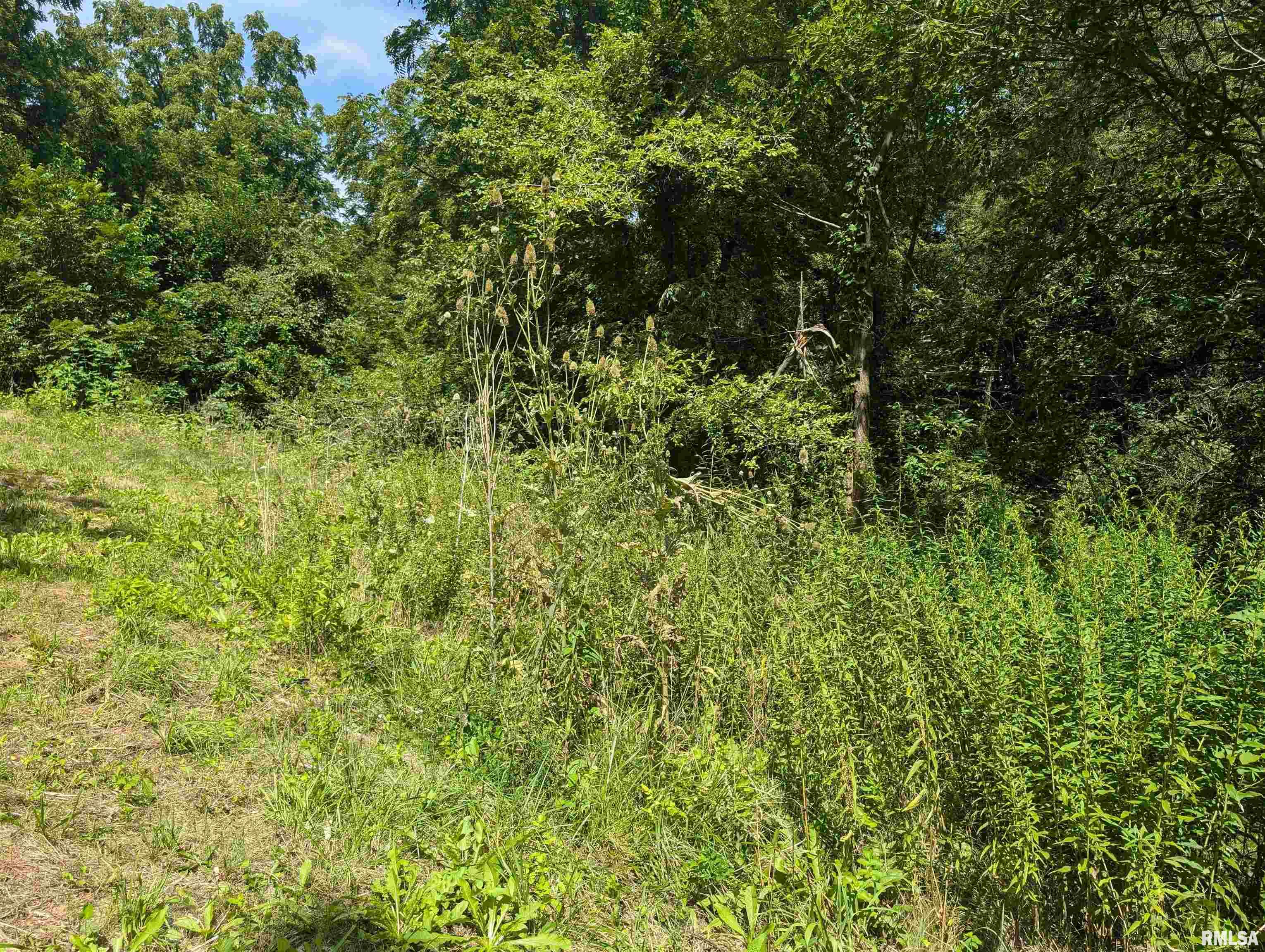 2218 South Trivoli Road Trivoli, IL 61569 - Photo 42 of 87