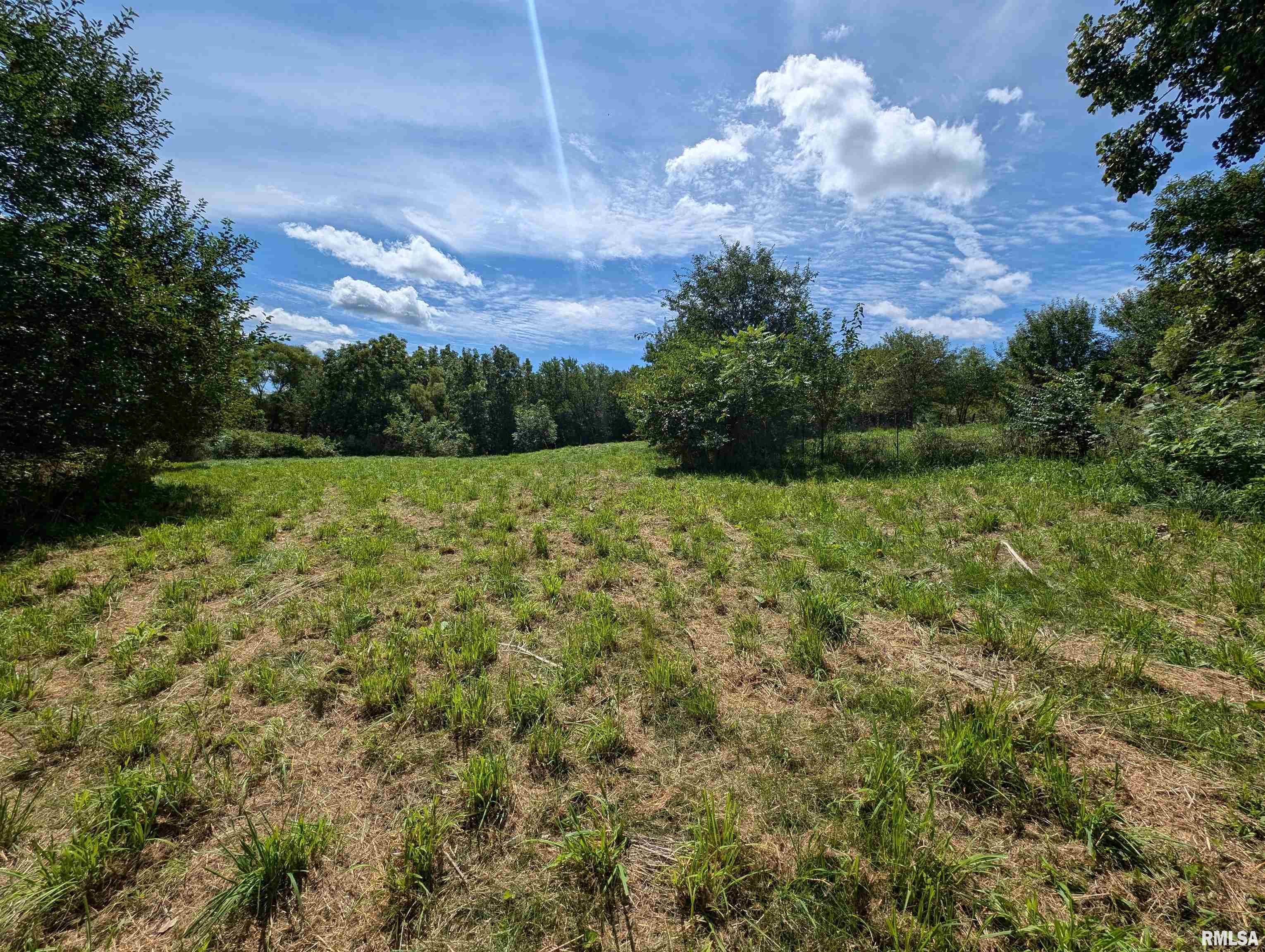 2218 South Trivoli Road Trivoli, IL 61569 - Photo 54 of 87