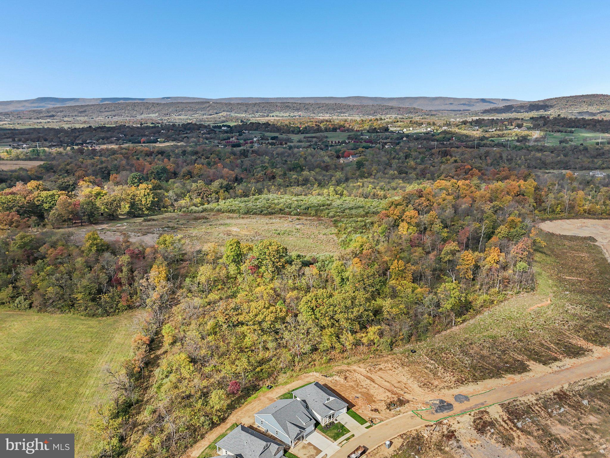 237 Hydrangea Way Winchester, VA 22602 - Photo 49 of 60