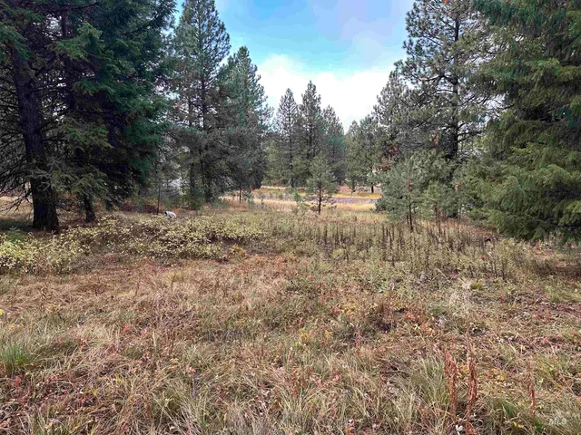 $198,000 | Tbd Whitefield Lane, McCall, ID 83638