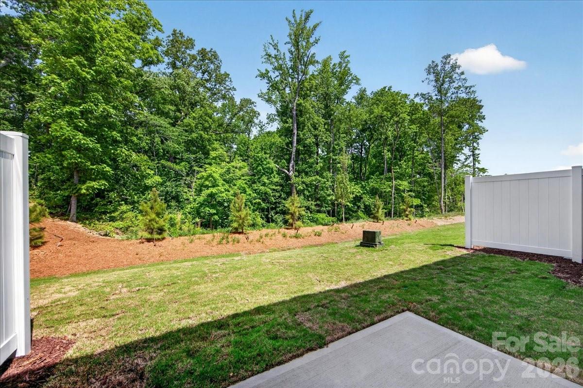 175 Landy Street Fort Mill, SC 29715 - Photo 29 of 29