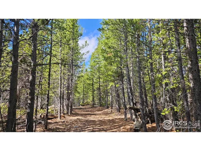 a view of a outdoor space