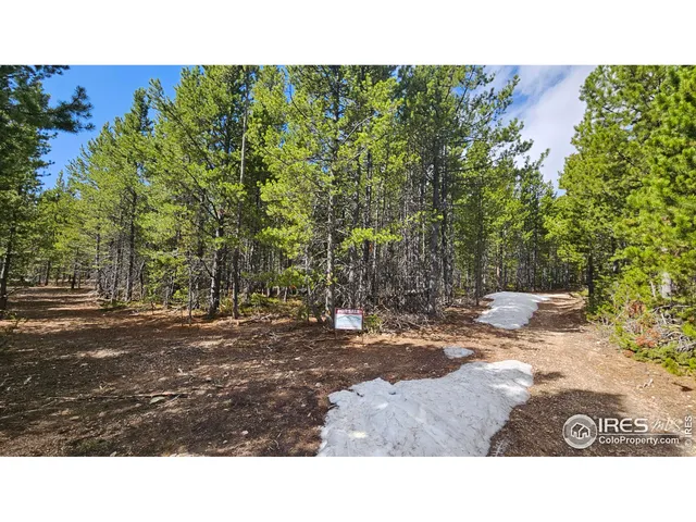 a view of yard with green space