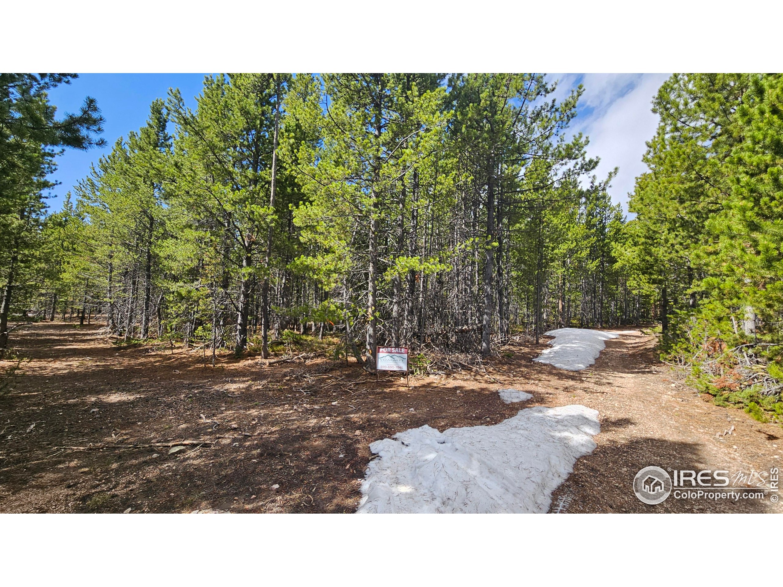 0 Forest Service 169 Road, Unit 7 Red Feather Lakes, CO 80545 - Photo 12 of 18 a view of a outdoor space