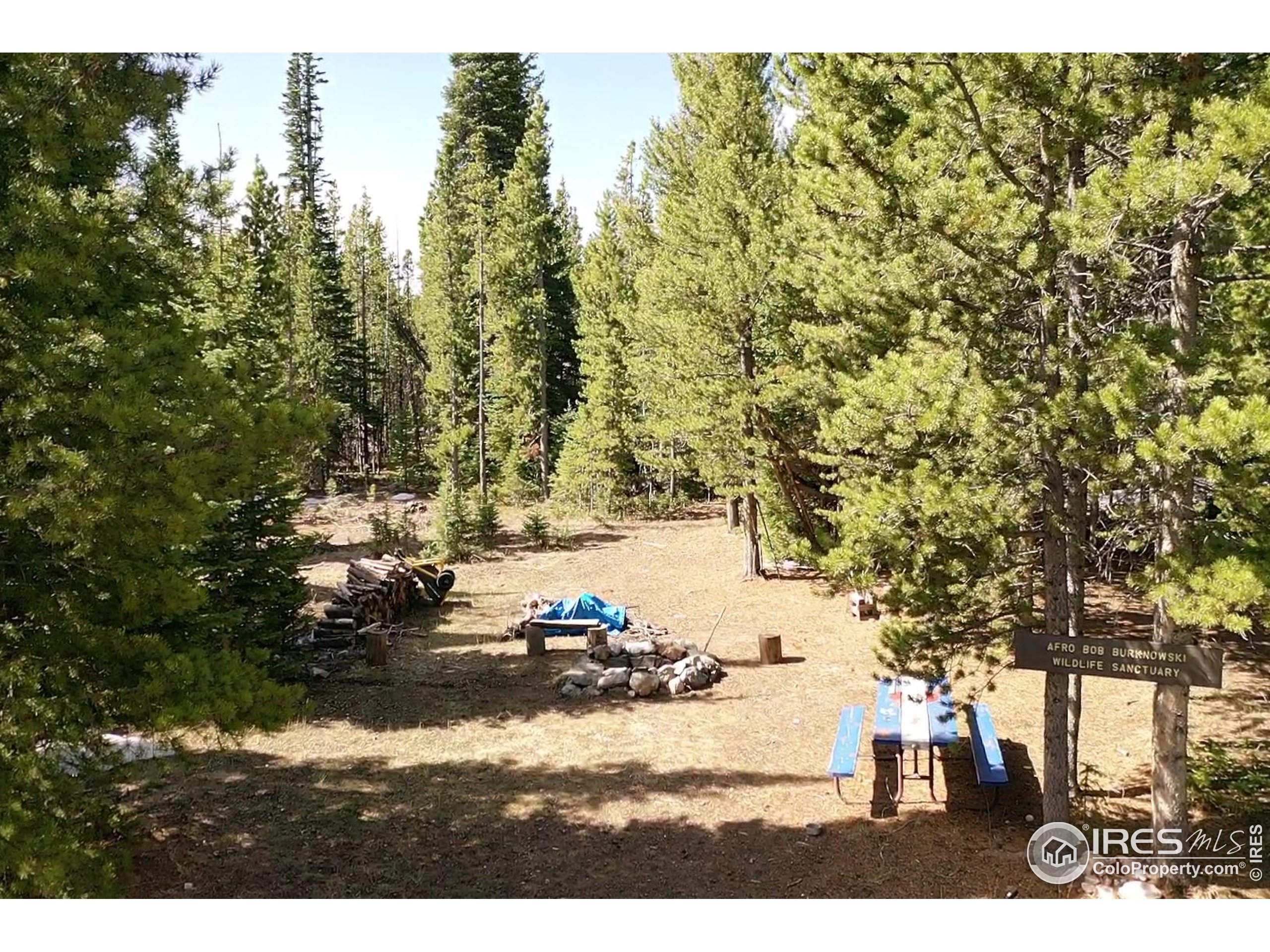 0 Forest Service 169 Road, Unit 7 Red Feather Lakes, CO 80545 - Photo 16 of 18